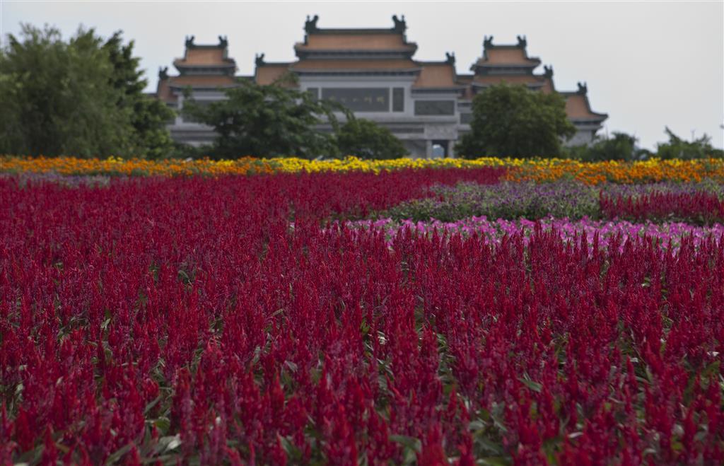 Sheraton Shunde Hotel Konforlar fotoğraf